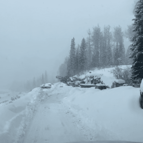 22079 12.6.22 CP3-1-T1 revised